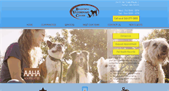 Desktop Screenshot of belltownevetcenter.com